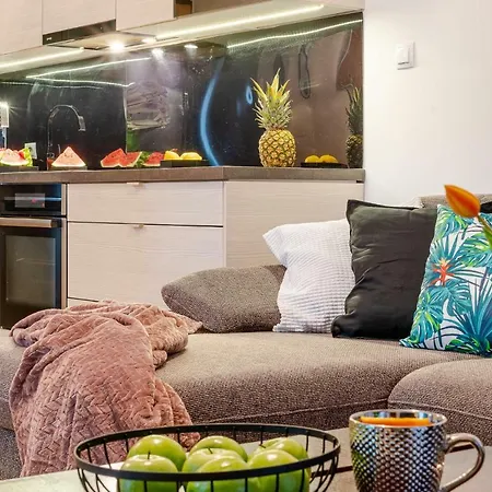 Art Old Town Apartmán Vratislav