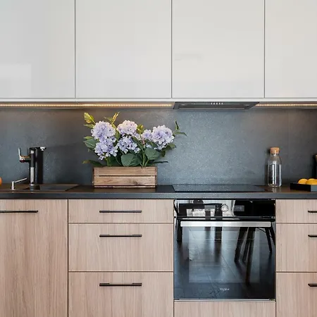 Art Old Town Apartmán Vratislav